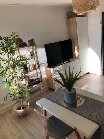 Апартаменти Studio Cosy Carnon-Plage - Clim Et Wifi Proche Montpellier Моґійо Екстер'єр фото